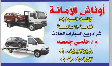ونش إنقاذ طريق جمصه المنصوره 01008442548